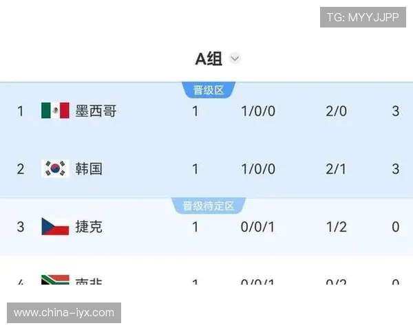 南非对韩国世界杯赛后比分公布详细数据与比赛亮点总结